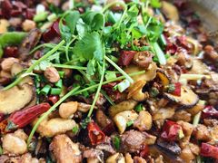 -食神又名厕所兔