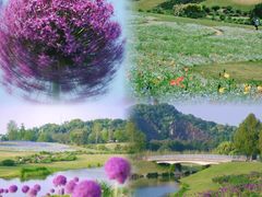 -上海辰山植物园