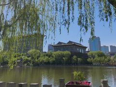-文瀛公园