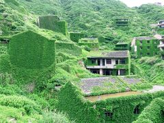 -枸杞岛