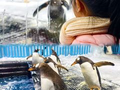 -郑州银基冰雪世界