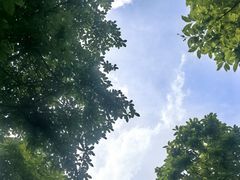 -二沙岛艺术公园