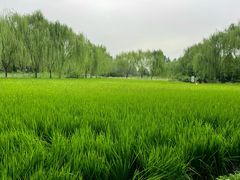-北坞公园