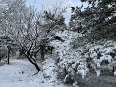 -北京西山国家森林公园