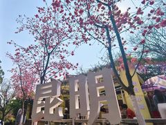 -昆明动物园