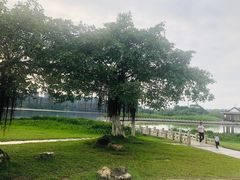 -松山湖南湖湾露营营地