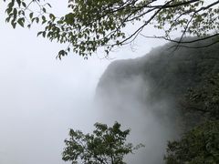 -张家界天门山国家森林公园