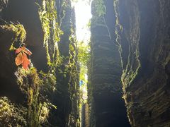 -梭布垭石林景区