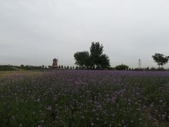 -君乐宝优致牧场