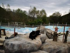 -青峰峡国家森林公园