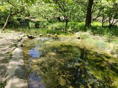 -沕沕水生态风景区