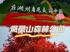 -中国大竹海景区