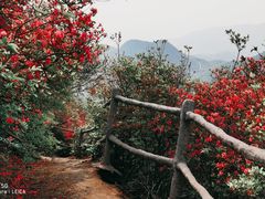 -木兰云雾山