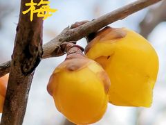 -月坛公园