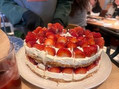 -O'eat Blossom&Pelican(深圳首店)
