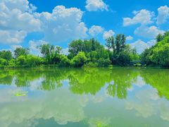 -溱湖国家湿地公园