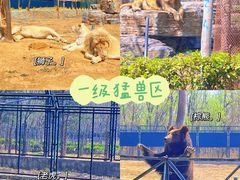 -秦皇岛野生动物园