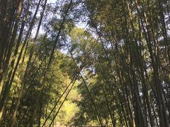 景点-焦山风景区