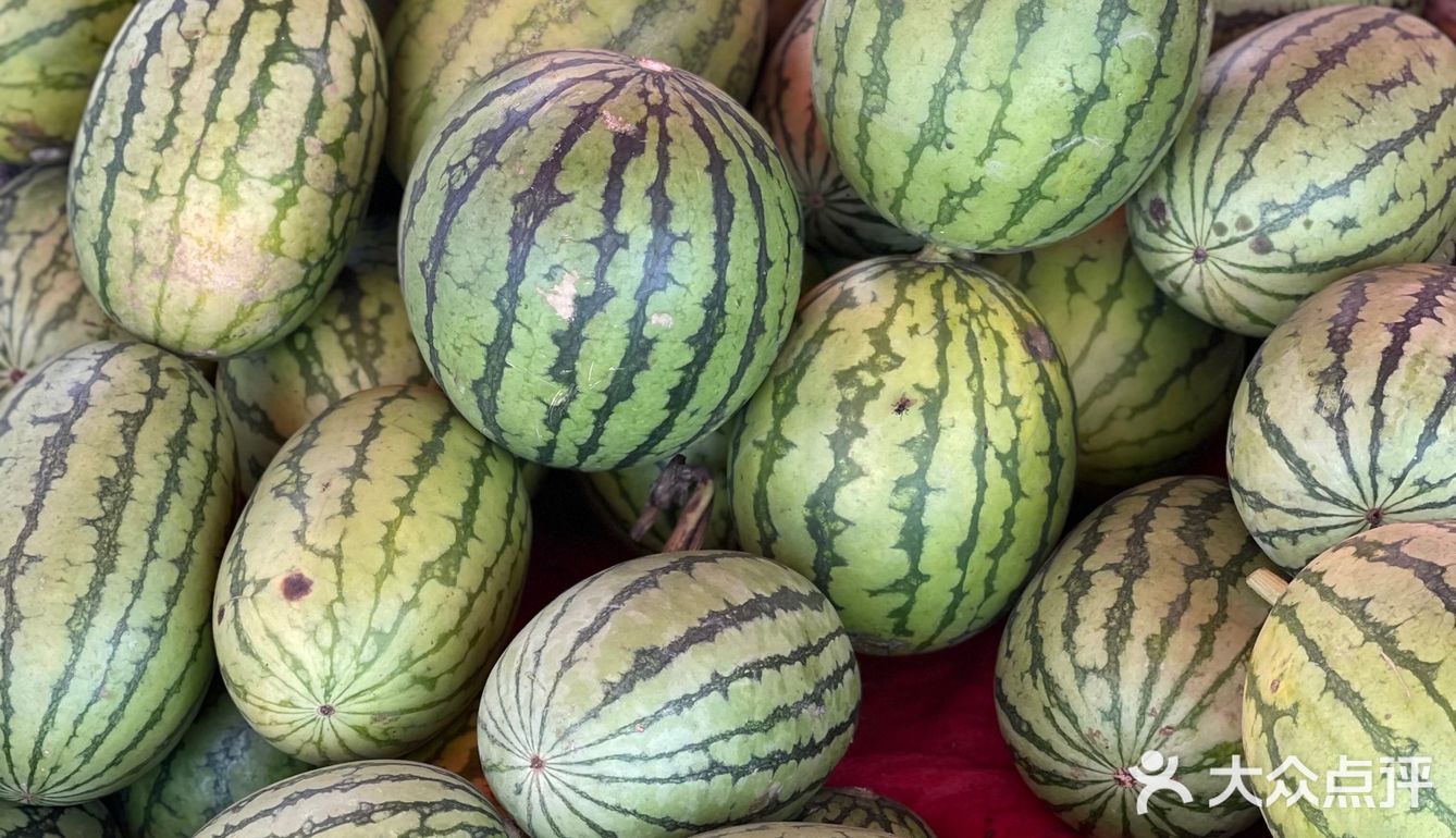 今年夏天最好吃的西瓜🍉｜庞各庄买西瓜🍉新发现