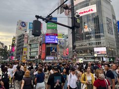 -涩谷全向十字路口