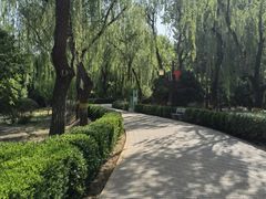 -古塔公园
