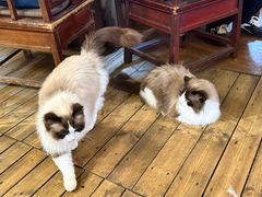 -吃货私房菜(丽江束河古镇店)