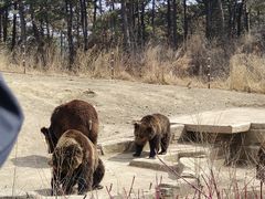 -沈阳森林动物园