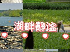 -麓湖高尔夫球俱乐部