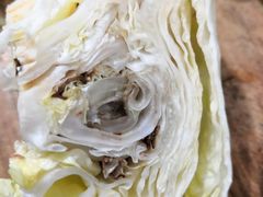 -家辉生鲜超市(东五路店)