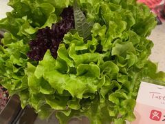 -炭之家·齐齐哈尔非遗烤肉·鲜切直供(中央大街店)