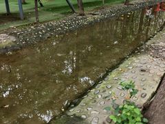 -草根堂农场
