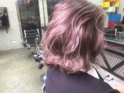 紫灰-SALON V