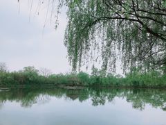 -西溪国家湿地公园