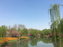-圩墩遗址公园
