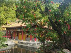 -华清宫景区