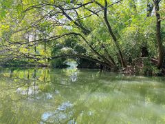 -西湖游船