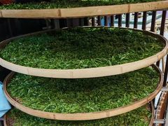 -阿巧茶庄