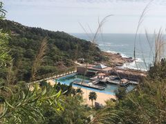 -广东惠东海龟国家级自然保护区