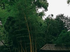 -静安公园(静安寺街道)