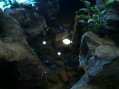 -武林峰餐厅(龙湖星悦荟店)