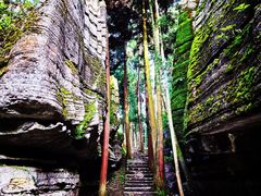 -梭布垭石林景区