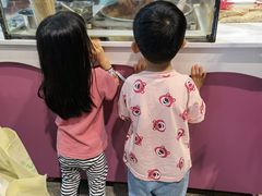 -杭州开元森泊度假乐园