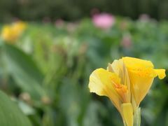 -贵阳蓬莱仙界