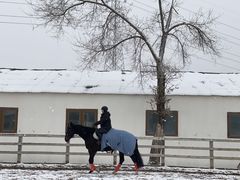 -北京群众马术培训基地
