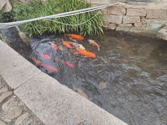 -前童古镇