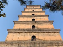 -大慈恩寺(大雁塔)