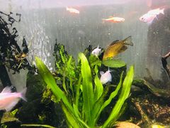 -蓬莱欧乐堡海洋极地世界