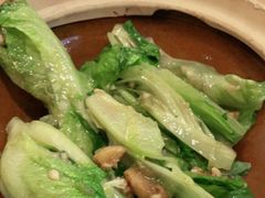 粤式虾膏啫生菜-尚一汤 广东炖汤(金桥国际店)