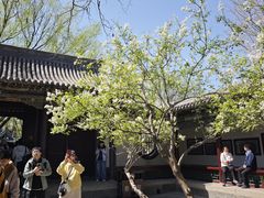 -晋祠公园
