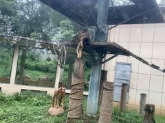 -合肥野生动物园